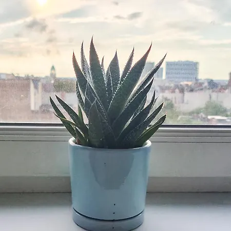 Mieszkanie Jezyce Mtp International Fair Parking Апартаменты Познань